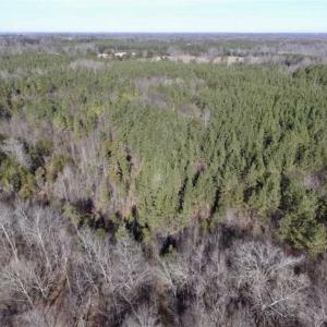 Photo of 65.92 Acres of Hunting and Recreational Land For Sale in Halifax County VA!