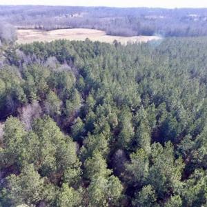 Photo of 65.92 Acres of Hunting and Recreational Land For Sale in Halifax County VA!