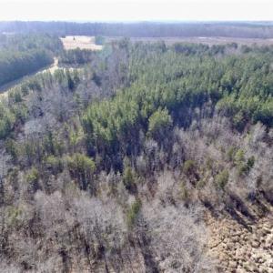 Photo of 65.92 Acres of Hunting and Recreational Land For Sale in Halifax County VA!