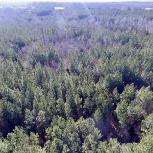 Photo of 65.92 Acres of Hunting and Recreational Land For Sale in Halifax County VA!
