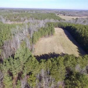 Photo of 65.92 Acres of Hunting and Recreational Land For Sale in Halifax County VA!