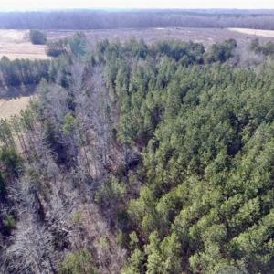 Photo of 65.92 Acres of Hunting and Recreational Land For Sale in Halifax County VA!