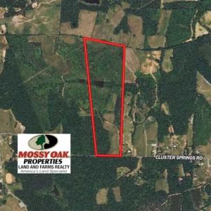 Photo of 65.92 Acres of Hunting and Recreational Land For Sale in Halifax County VA!