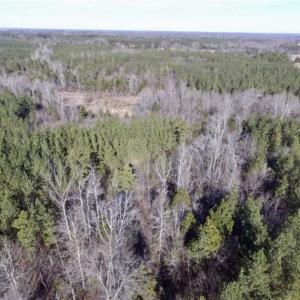 Photo of 65.92 Acres of Hunting and Recreational Land For Sale in Halifax County VA!