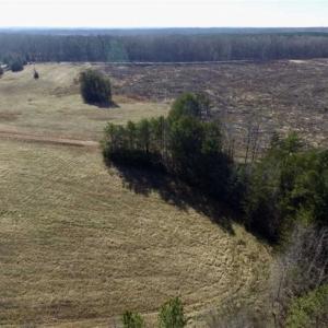 Photo of 65.92 Acres of Hunting and Recreational Land For Sale in Halifax County VA!