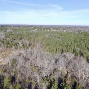 Photo of 65.92 Acres of Hunting and Recreational Land For Sale in Halifax County VA!