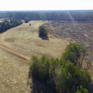 Photo of 65.92 Acres of Hunting and Recreational Land For Sale in Halifax County VA!