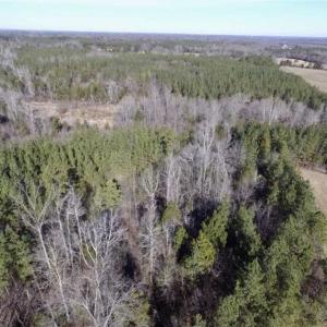 Photo of 65.92 Acres of Hunting and Recreational Land For Sale in Halifax County VA!