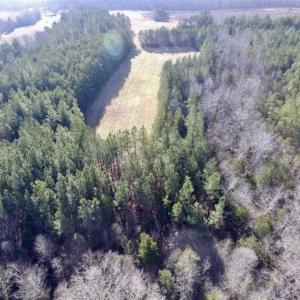 Photo of 65.92 Acres of Hunting and Recreational Land For Sale in Halifax County VA!