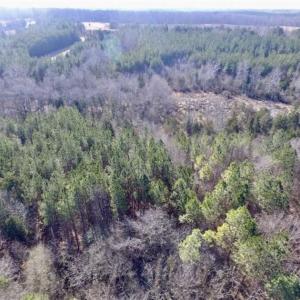 Photo of 65.92 Acres of Hunting and Recreational Land For Sale in Halifax County VA!