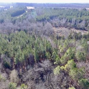 Photo of 65.92 Acres of Hunting and Recreational Land For Sale in Halifax County VA!