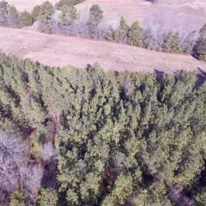 Photo of 65.92 Acres of Hunting and Recreational Land For Sale in Halifax County VA!