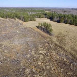 Photo of 65.92 Acres of Hunting and Recreational Land For Sale in Halifax County VA!