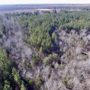 Photo of 65.92 Acres of Hunting and Recreational Land For Sale in Halifax County VA!