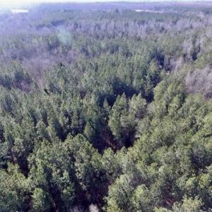Photo of 65.92 Acres of Hunting and Recreational Land For Sale in Halifax County VA!