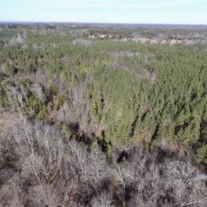 Photo of 65.92 Acres of Hunting and Recreational Land For Sale in Halifax County VA!