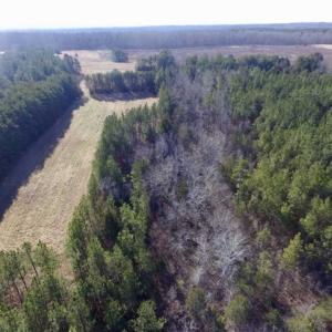 Photo of 65.92 Acres of Hunting and Recreational Land For Sale in Halifax County VA!