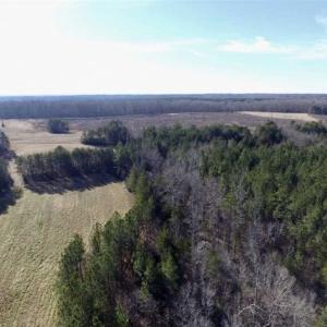 Photo of 65.92 Acres of Hunting and Recreational Land For Sale in Halifax County VA!