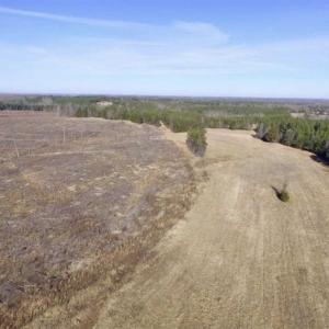 Photo of 65.92 Acres of Hunting and Recreational Land For Sale in Halifax County VA!