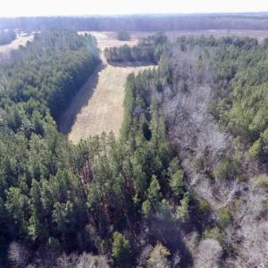 Photo of 65.92 Acres of Hunting and Recreational Land For Sale in Halifax County VA!