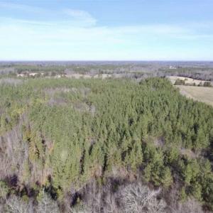 Photo of 65.92 Acres of Hunting and Recreational Land For Sale in Halifax County VA!