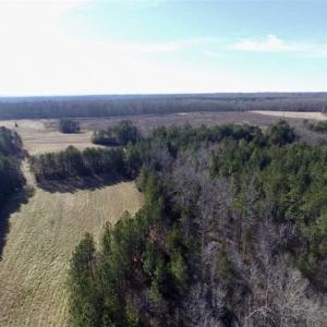 Photo of 65.92 Acres of Hunting and Recreational Land For Sale in Halifax County VA!