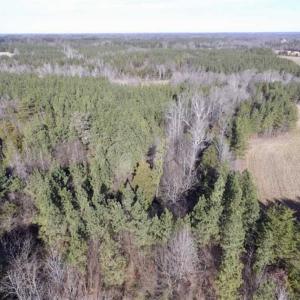 Photo of 65.92 Acres of Hunting and Recreational Land For Sale in Halifax County VA!