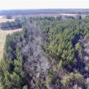 Photo of 65.92 Acres of Hunting and Recreational Land For Sale in Halifax County VA!