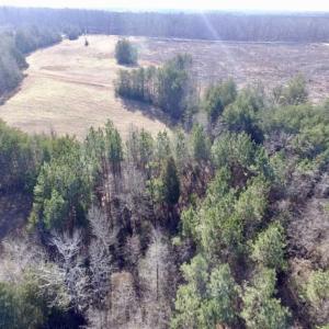 Photo of 65.92 Acres of Hunting and Recreational Land For Sale in Halifax County VA!