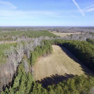 Photo of 65.92 Acres of Hunting and Recreational Land For Sale in Halifax County VA!