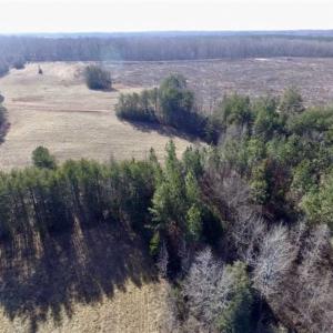 Photo of 65.92 Acres of Hunting and Recreational Land For Sale in Halifax County VA!