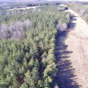 Photo of 65.92 Acres of Hunting and Recreational Land For Sale in Halifax County VA!