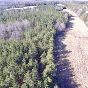 Photo of 65.92 Acres of Hunting and Recreational Land For Sale in Halifax County VA!