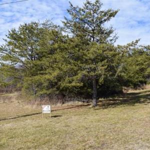 Photo of 15.96 Acres of Residential Hunting Land For Sale In Bedford County VA!
