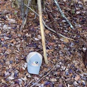 Photo of 15.96 Acres of Residential Hunting Land For Sale In Bedford County VA!
