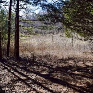Photo of 15.96 Acres of Residential Hunting Land For Sale In Bedford County VA!