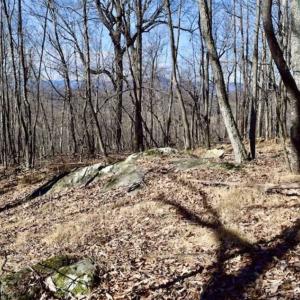Photo of 15.96 Acres of Residential Hunting Land For Sale In Bedford County VA!