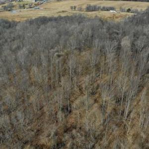 Photo of 15.96 Acres of Residential Hunting Land For Sale In Bedford County VA!