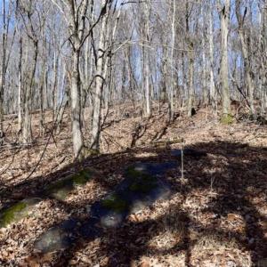 Photo of 15.96 Acres of Residential Hunting Land For Sale In Bedford County VA!