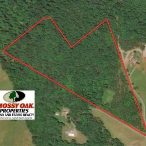Photo of 15.96 Acres of Residential Hunting Land For Sale In Bedford County VA!