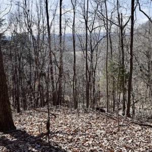 Photo of 15.96 Acres of Residential Hunting Land For Sale In Bedford County VA!