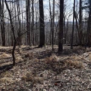 Photo of 15.96 Acres of Residential Hunting Land For Sale In Bedford County VA!