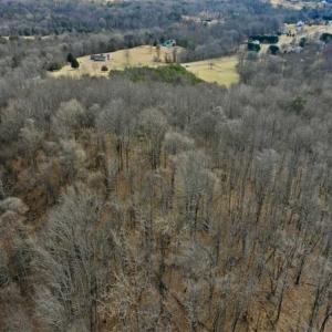 Photo of 15.96 Acres of Residential Hunting Land For Sale In Bedford County VA!