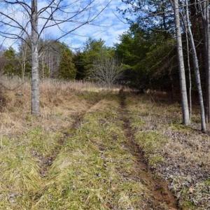 Photo of 15.96 Acres of Residential Hunting Land For Sale In Bedford County VA!