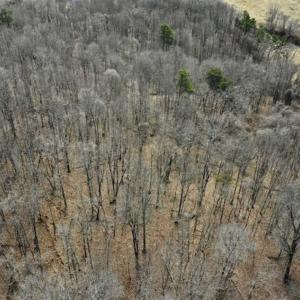 Photo of 15.96 Acres of Residential Hunting Land For Sale In Bedford County VA!