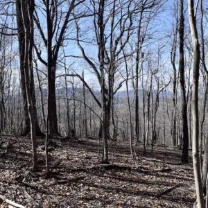 Photo of 15.96 Acres of Residential Hunting Land For Sale In Bedford County VA!