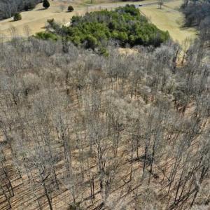 Photo of 15.96 Acres of Residential Hunting Land For Sale In Bedford County VA!