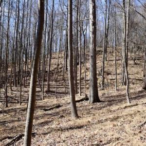 Photo of 15.96 Acres of Residential Hunting Land For Sale In Bedford County VA!