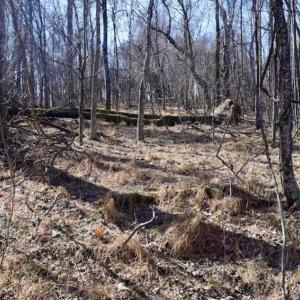 Photo of 15.96 Acres of Residential Hunting Land For Sale In Bedford County VA!