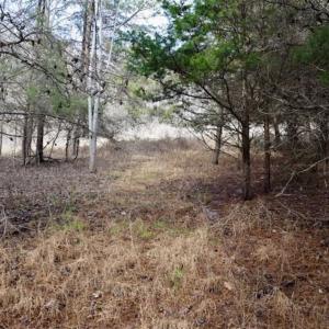 Photo of 15.96 Acres of Residential Hunting Land For Sale In Bedford County VA!